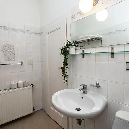 Apartment Rossini Frantiskovy Lazne